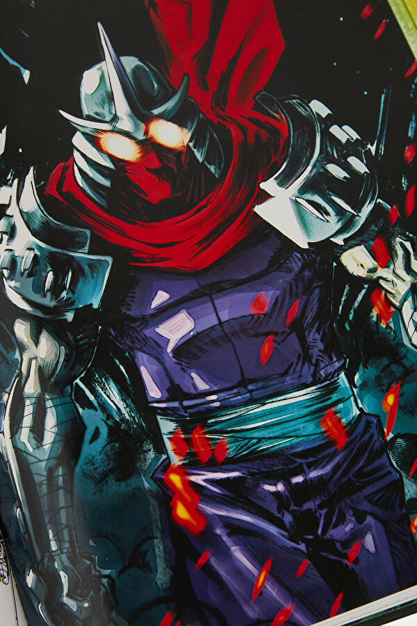 Teenage Mutant Ninja Turtles: The Ultimate Visual History 11
