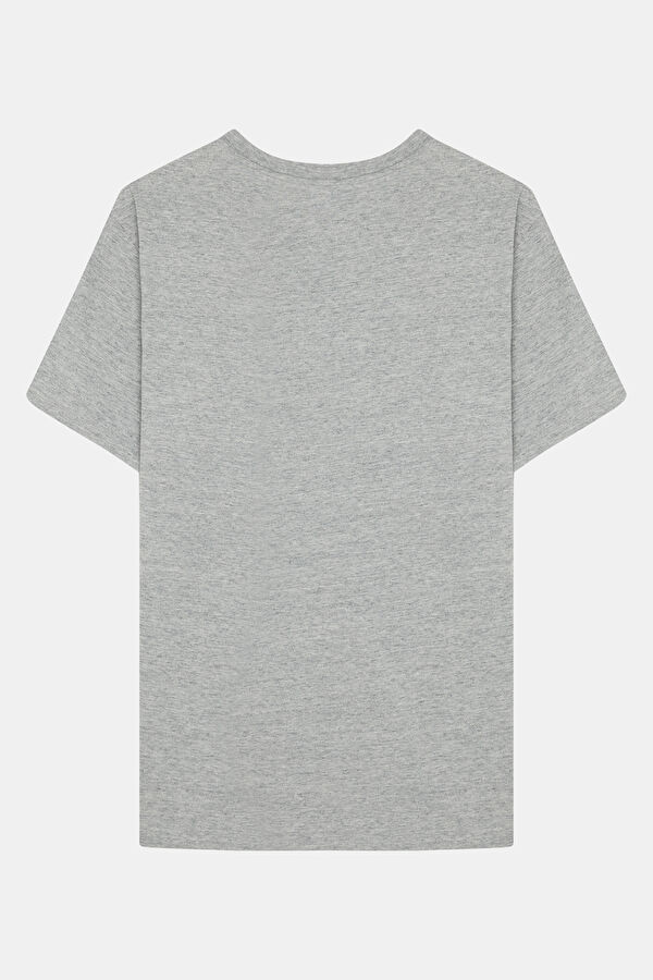Relax Kalıp Gri Bisiklet Yaka Erkek T-Shirt 2