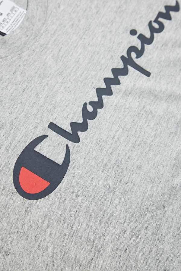 Relax Kalıp Gri Bisiklet Yaka Erkek T-Shirt 4