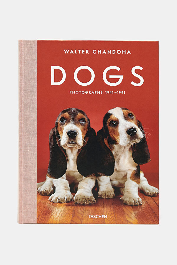 Dogs