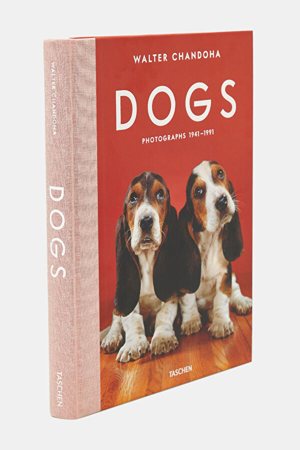 Dogs 2