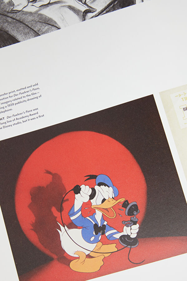 Walt Disney's Donald Duck: The Ultimate History 6