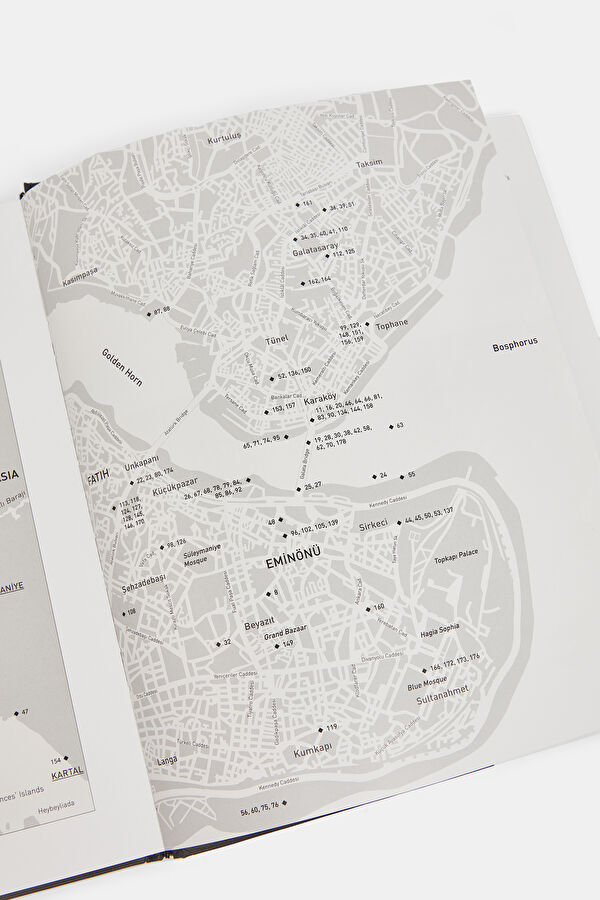 Ara Guler's Istanbul 5