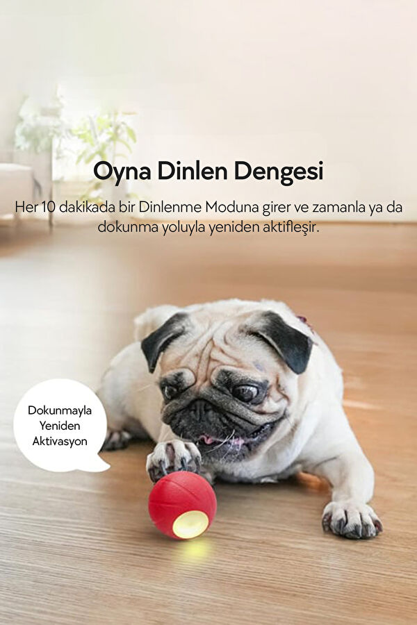 Şarjlı Akıllı İneraktif Köpek Oyun Topu 8