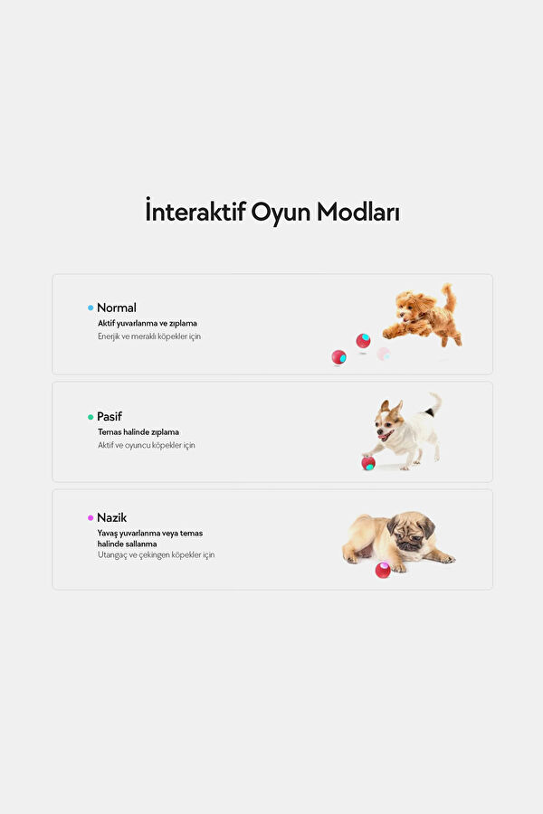 Şarjlı Akıllı İneraktif Köpek Oyun Topu 9