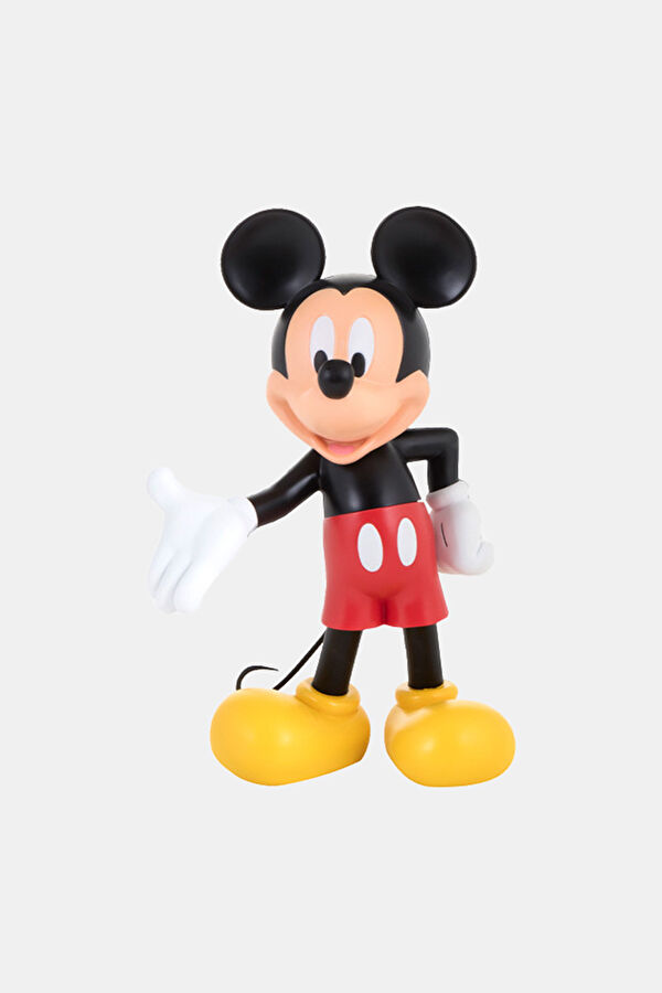 Mickey Welcome