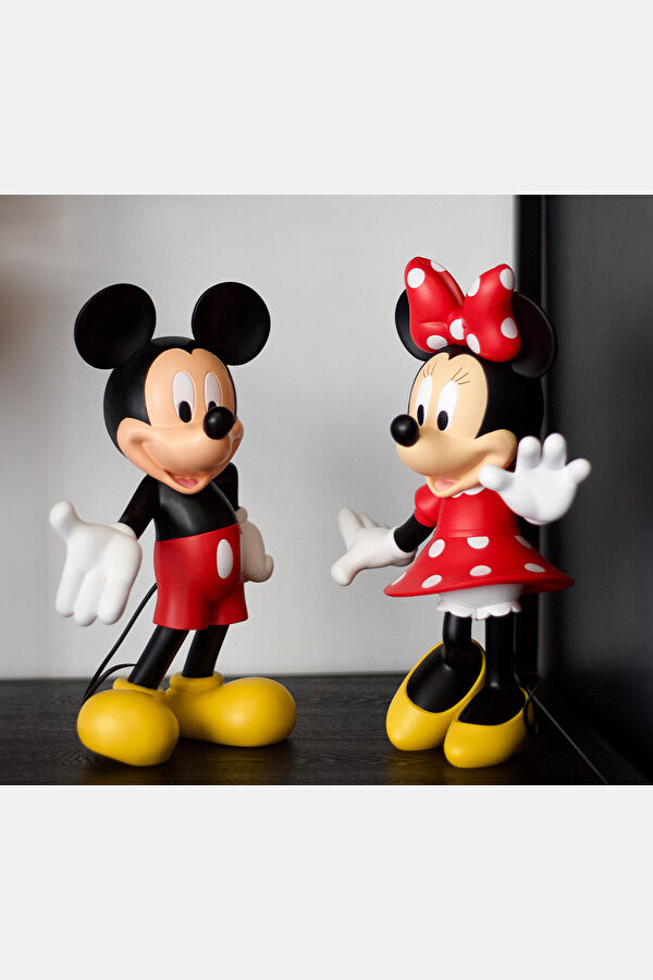 Mickey Welcome 6
