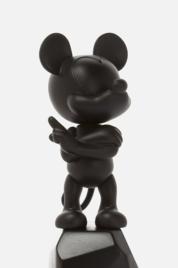 Mickey Rock 2