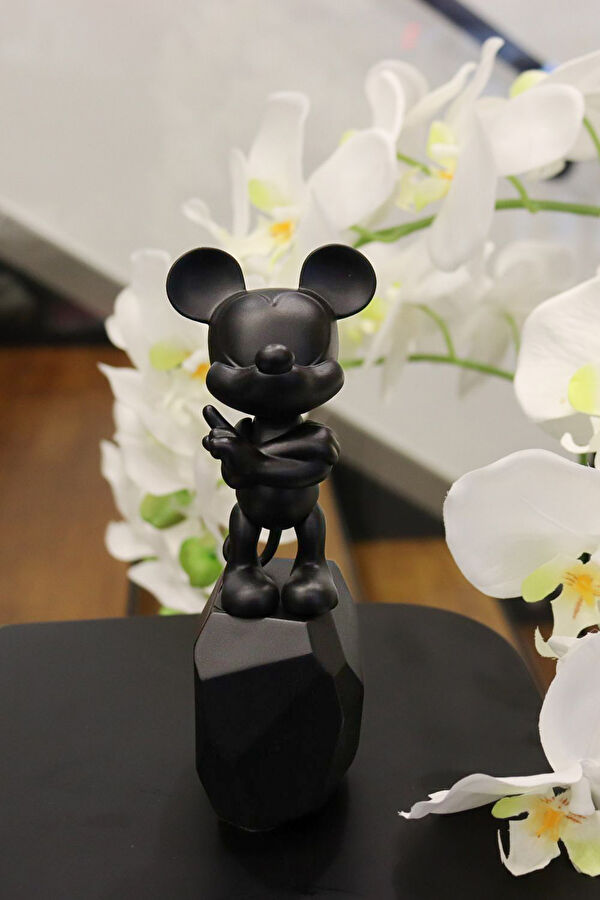 Mickey Rock 4