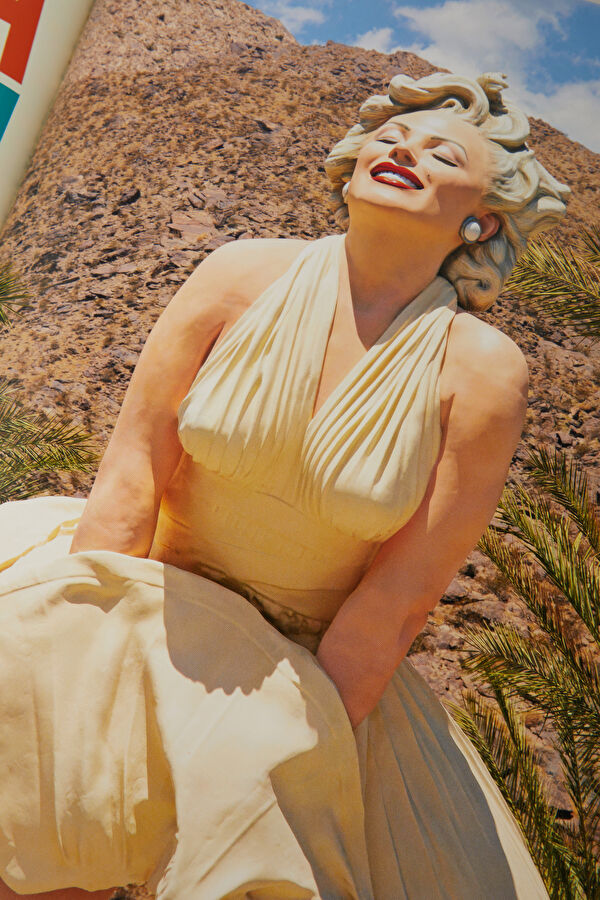 Palm Springs 6