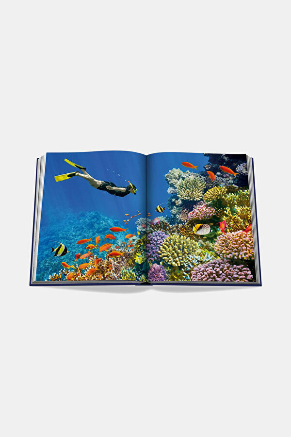 Ocean Wanderlust 12