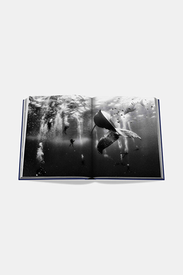 Ocean Wanderlust 13