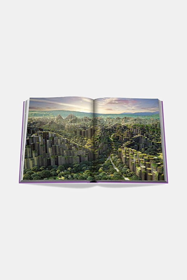 Metaverse Dream 14
