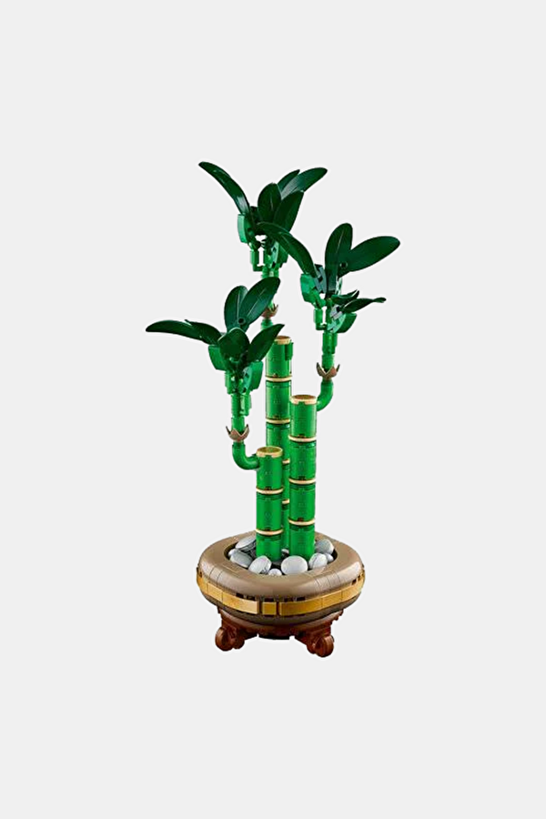 10344 Botanicals Şans Bambusu