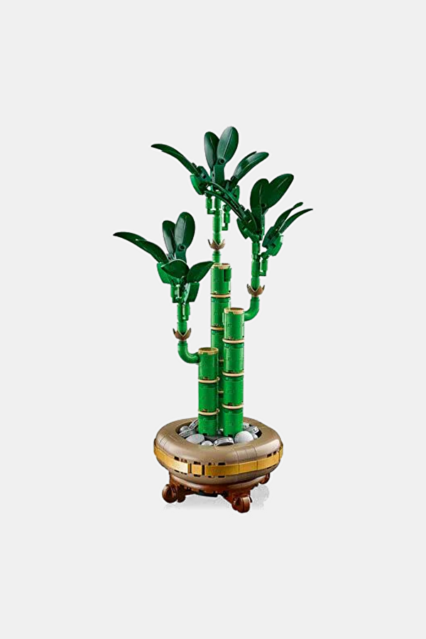10344 Botanicals Şans Bambusu 3
