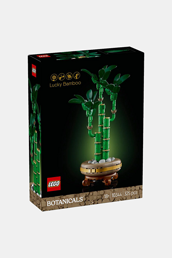 10344 Botanicals Şans Bambusu 6