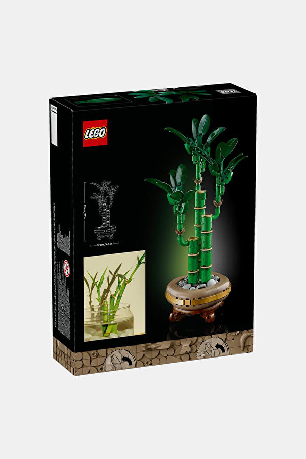 10344 Botanicals Şans Bambusu 7