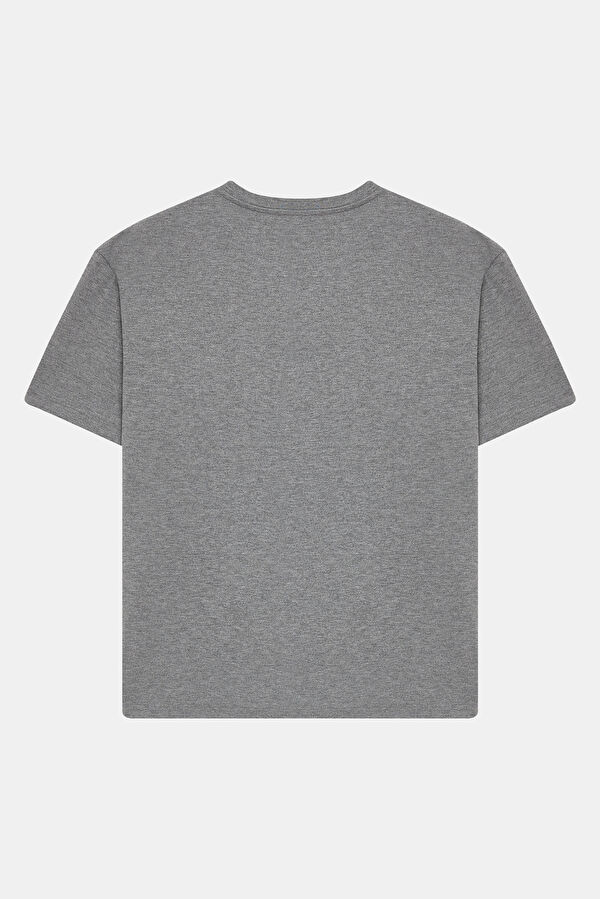 Grey Crew Neck Men's T-Shirt 2