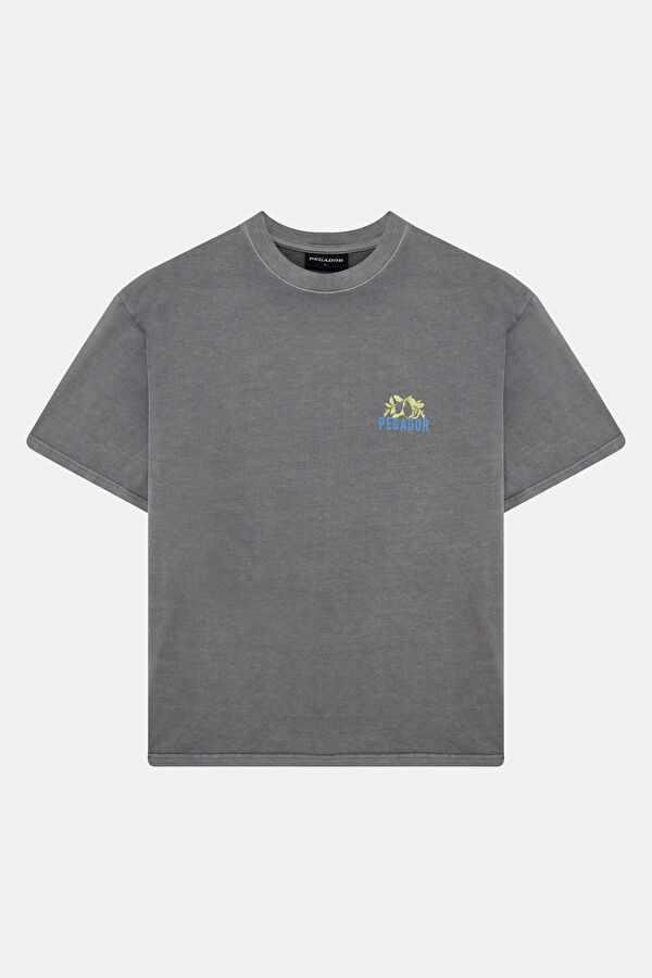 Relax Kalıp Gri Bisiklet Yaka Baskılı Erkek T-Shirt