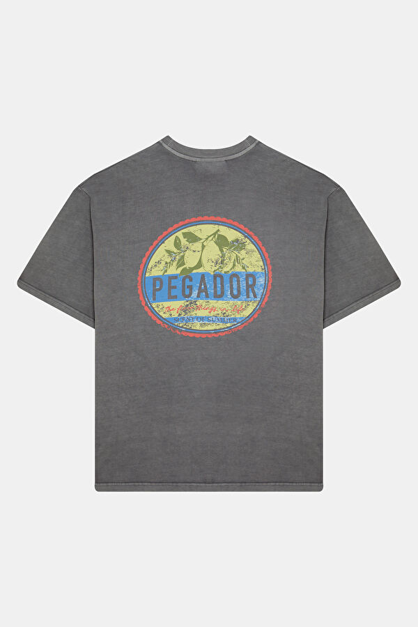 Relax Kalıp Gri Bisiklet Yaka Baskılı Erkek T-Shirt 2