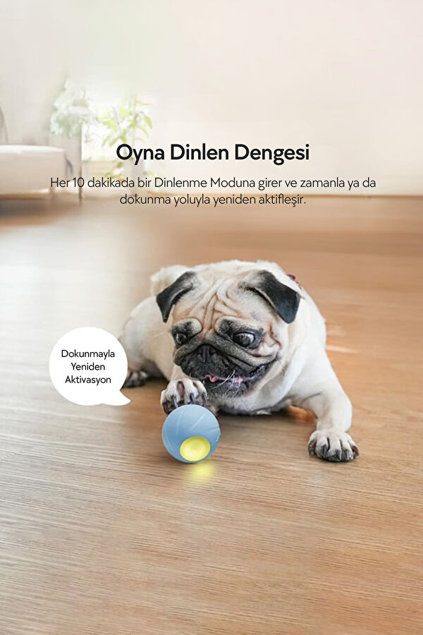 Şarjlı Akıllı İneraktif Köpek Oyun Topu Mavi 8
