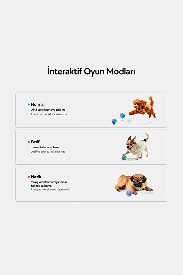 Şarjlı Akıllı İneraktif Köpek Oyun Topu Mavi 9