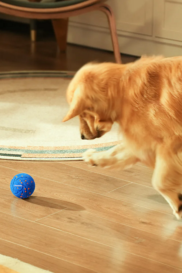 Akıllı İnteraktif Köpek Oyuncağı Turuncu 7 x 7 x 7cm 4