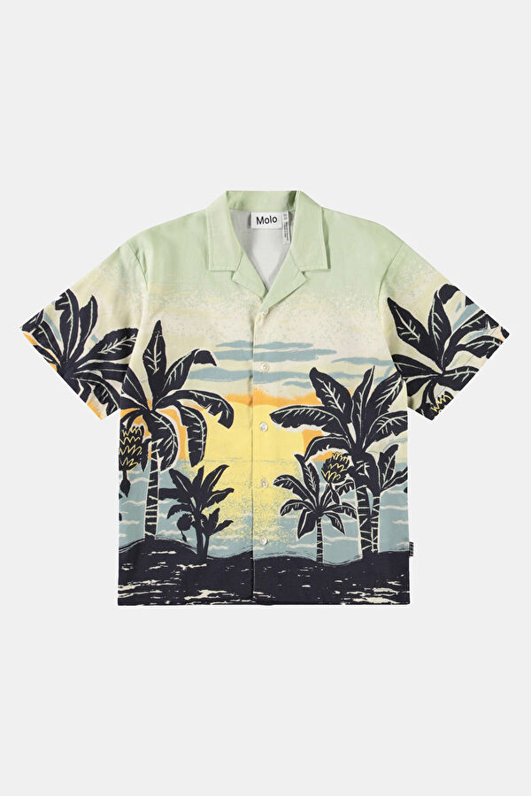 Light Green Shirt