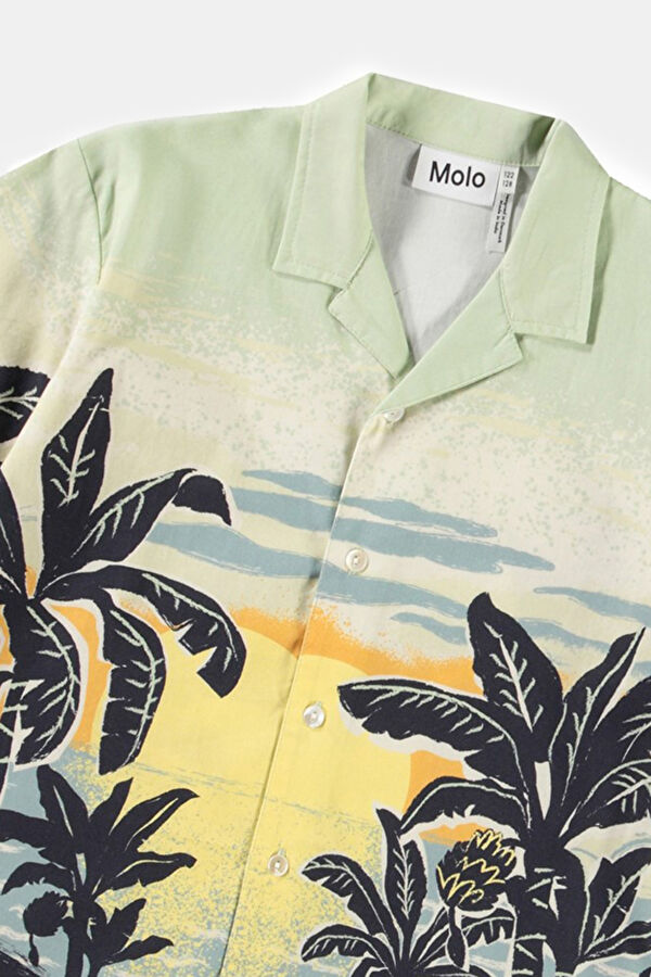 Light Green Shirt 4