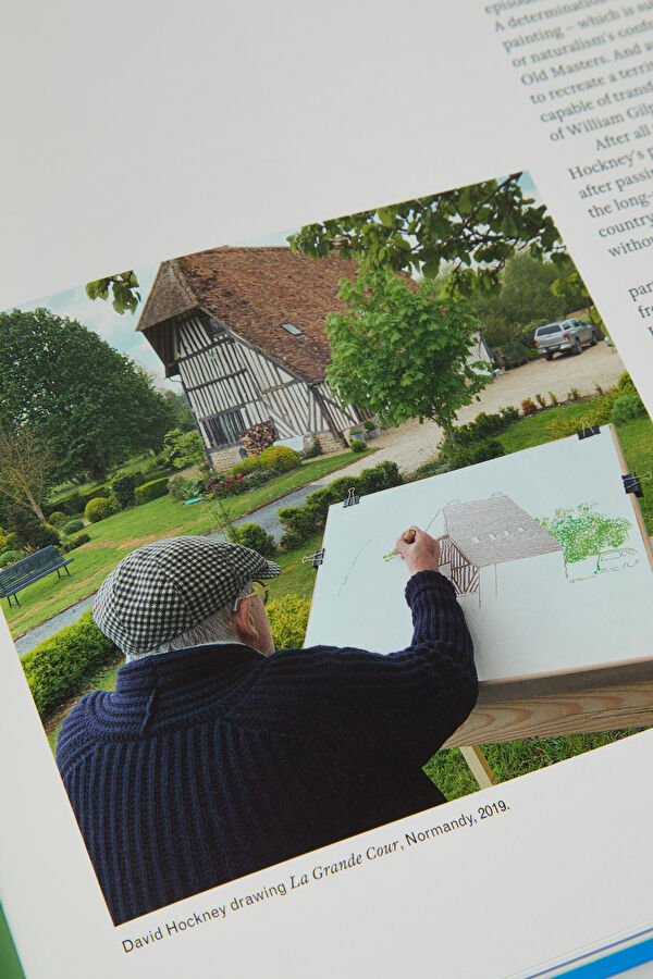 David Hockney 7
