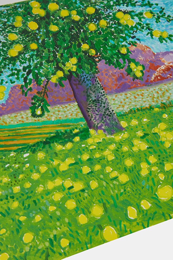 David Hockney 8