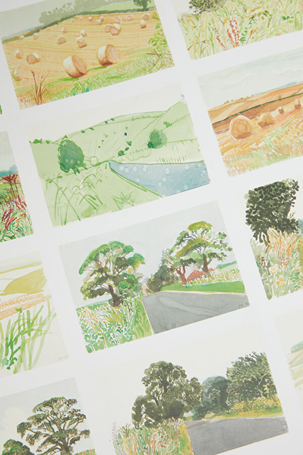 David Hockney 10