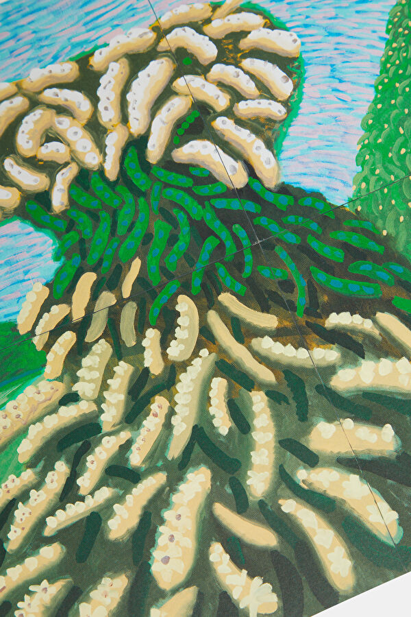 David Hockney 11
