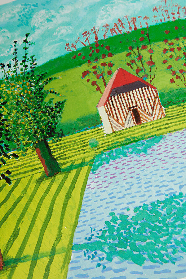 David Hockney 13