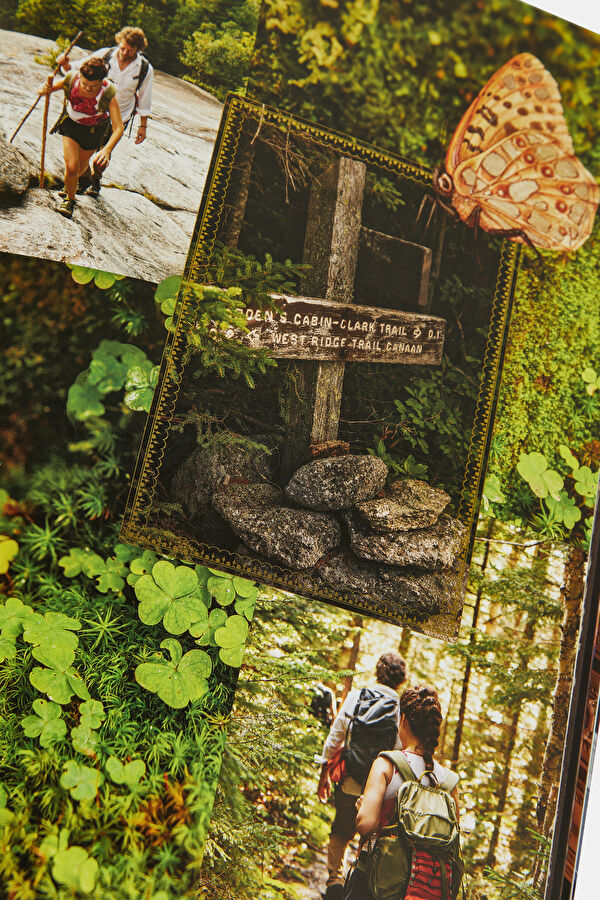 Tales of a Not So Tiny House 8