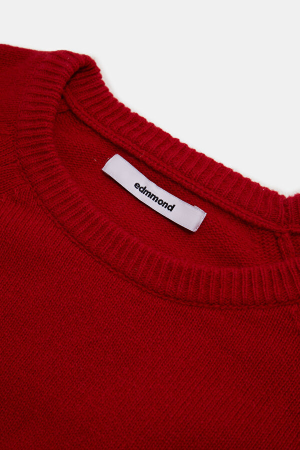 Kırmızı Relax Kalıp Bisiklet Yaka Erkek Sweatshirt 3