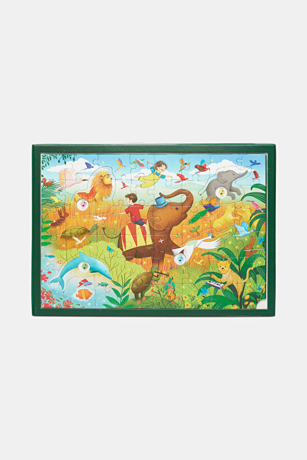 The Story Orchestra: Carnival of the Animals 4