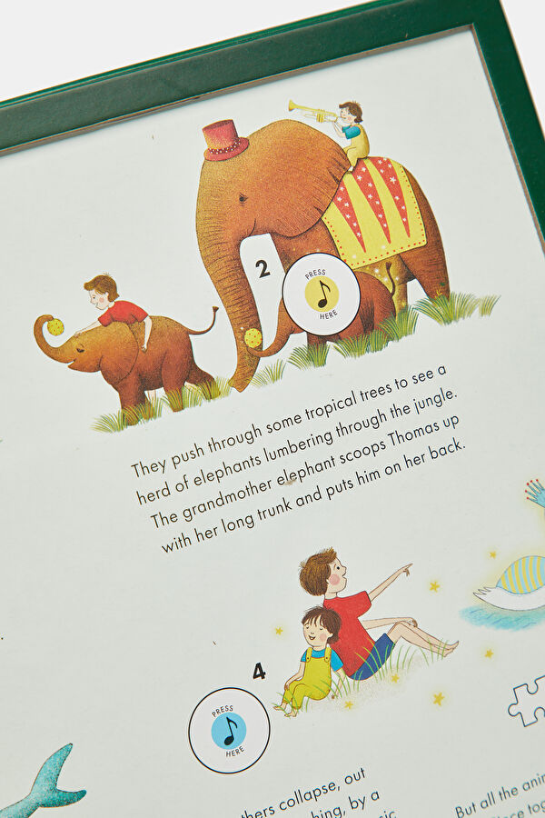 The Story Orchestra: Carnival of the Animals 8