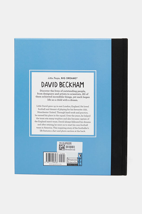 David Beckham 3