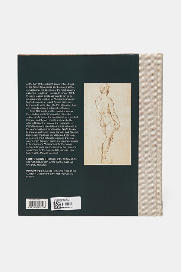 Michelangelo, Leonardo, Raphael 3