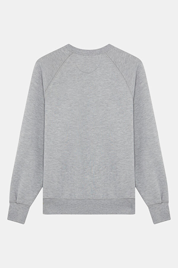 Gray Crew Neck Men's Sweatshirt 2