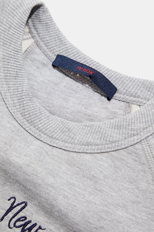 Gray Crew Neck Men's Sweatshirt 3