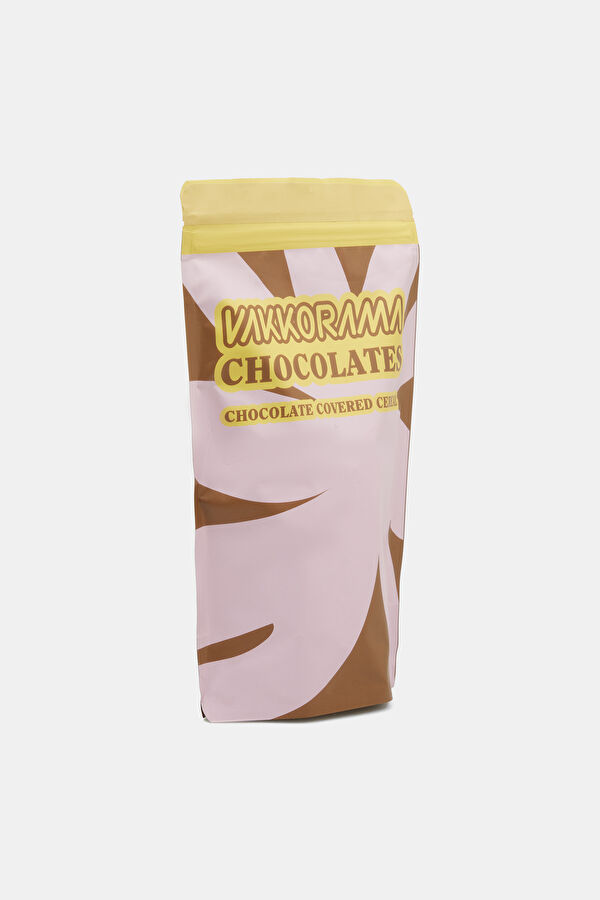 Chocolate Covered Cereal 2