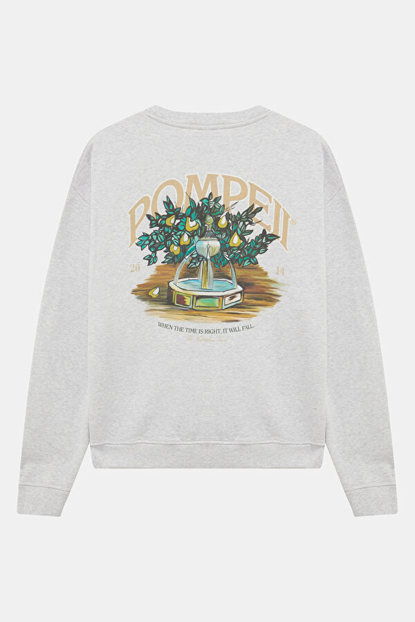 Açık Gri Relax Kalıp Bisiklet Yaka Erkek Sweatshirt 2