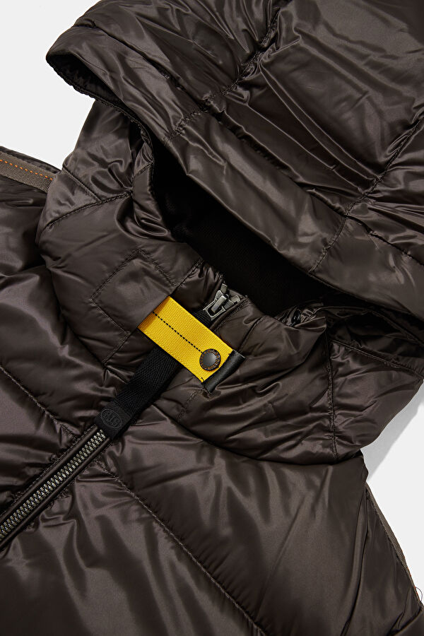 Dark Brown Women's Coat 3