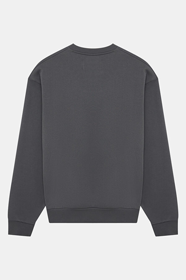 Antrasit Relax Kalıp Erkek Sweatshirt 2