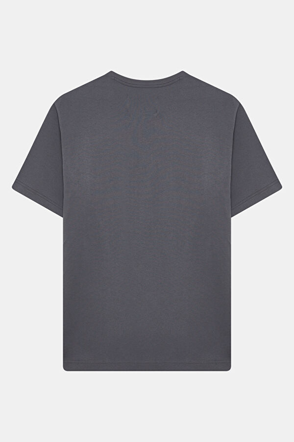 Relax Kalıp Antrasit Bisiklet Yaka Erkek T-Shirt 2