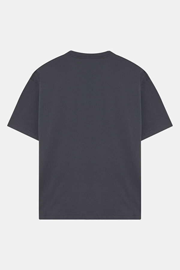 Relax Kalıp Antrasit Bisiklet Yaka Erkek T-Shirt 2