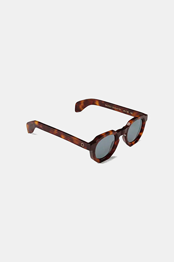 Pluto Havana Brown Sunglasses 2