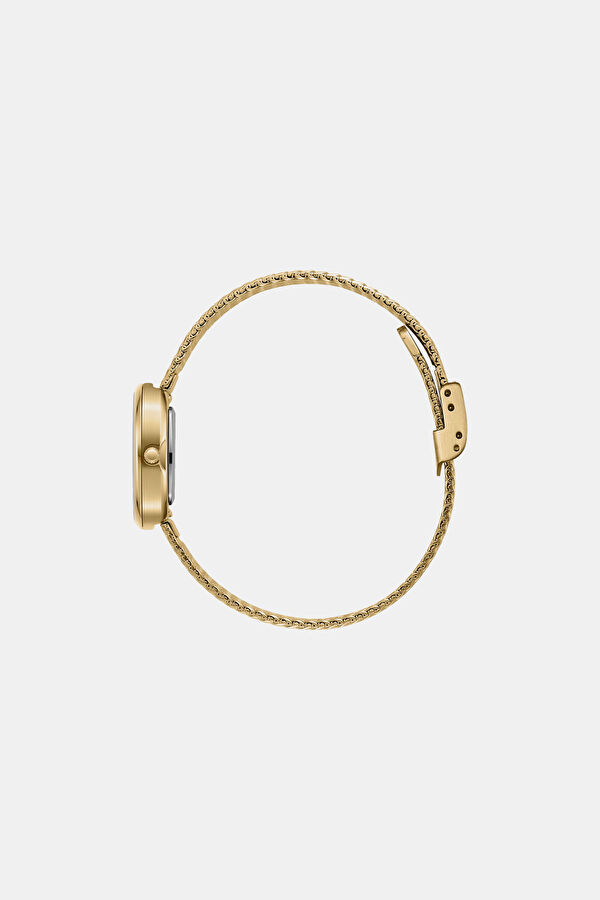 Jane Mini Gold and Metal Kol Saati 5